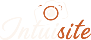 Logo intuisite version fond foncé